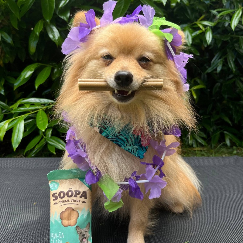 Soopa Dentals Paw-Na Colada 100g