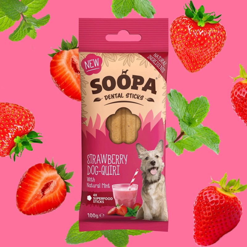 Soopa Dentals Jagodni Dog-Quiri 100g