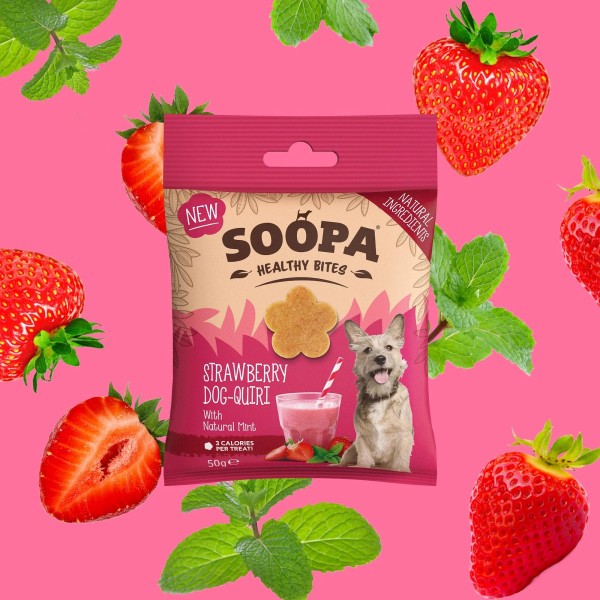 Soopa Bites Jagodni Dog-Quiri 50g