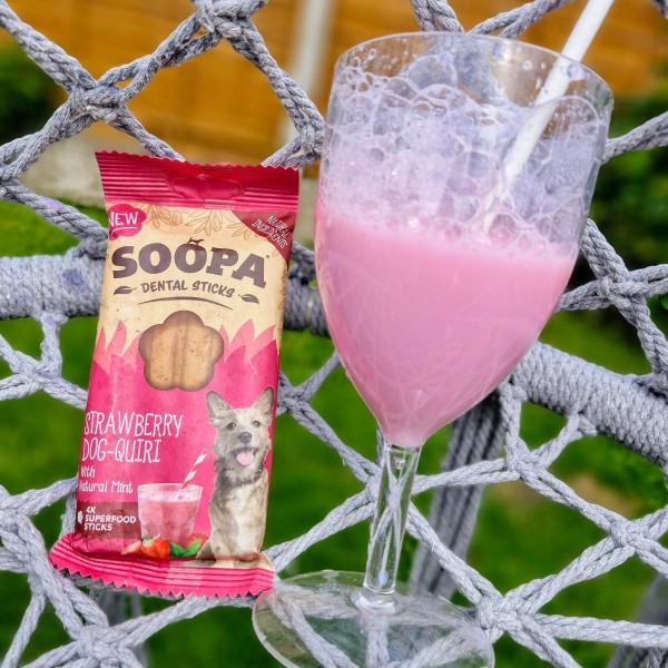 Soopa Dentals Jagodni Dog-Quiri 100g